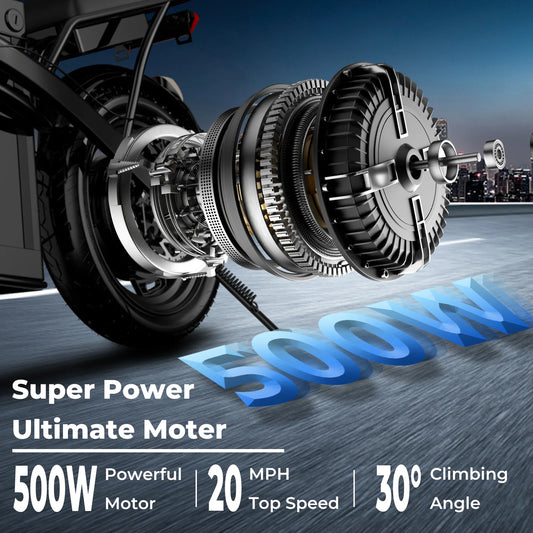 14-Inch Folding Electric Bike,20 MPH/48V/0.4A Battery,